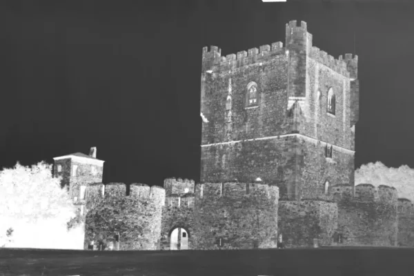 D6X_1271_C D6X_1271_C