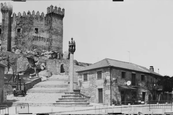 D6X_1273_C_posit D6X_1273_C_posit