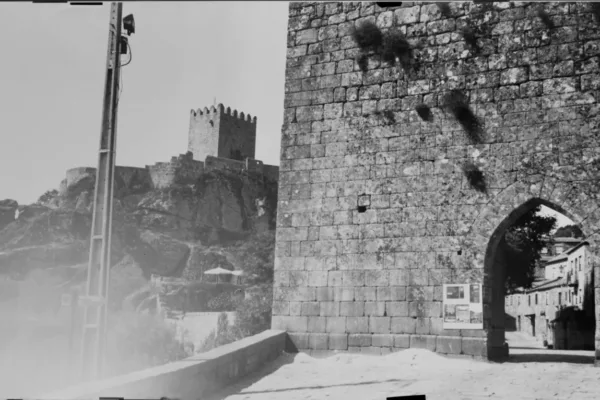 D6X_1275_C_posit D6X_1275_C_posit