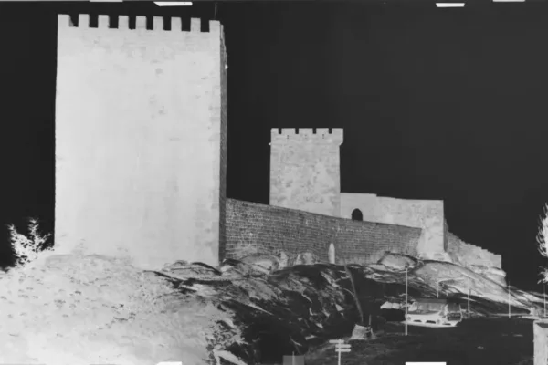 D6X_1277_C D6X_1277_C