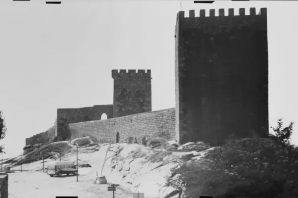 D6X_1277_C_posit D6X_1277_C_posit