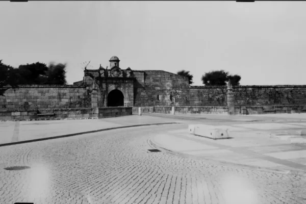 D6X_1279_C_posit D6X_1279_C_posit