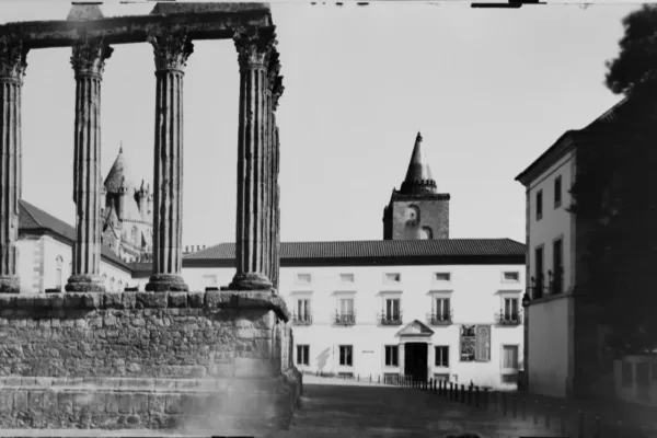 D6X_1282_C_posit D6X_1282_C_posit