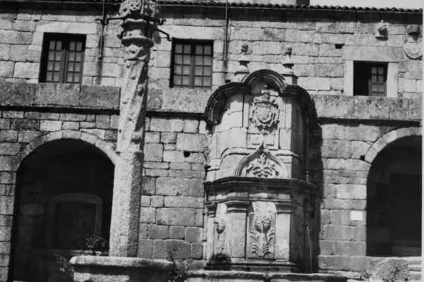 D6X_1285_C_posit D6X_1285_C_posit