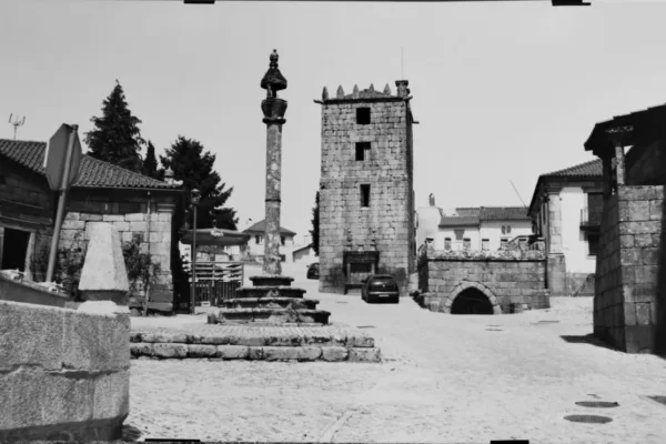 D6X_1287_C_posit D6X_1287_C_posit