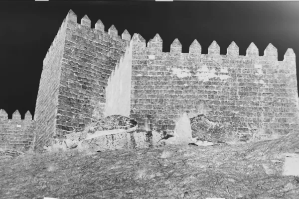 D6X_1288_C D6X_1288_C