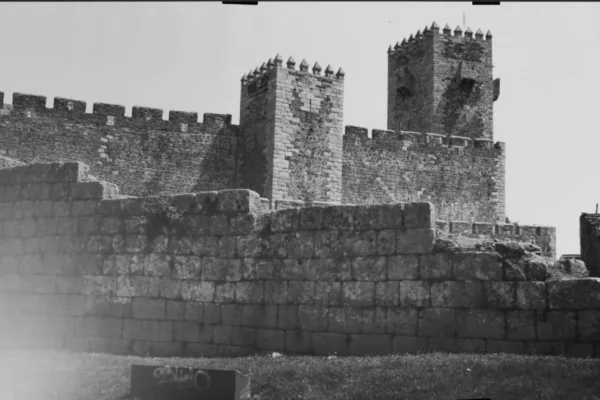 D6X_1290_C_posit D6X_1290_C_posit