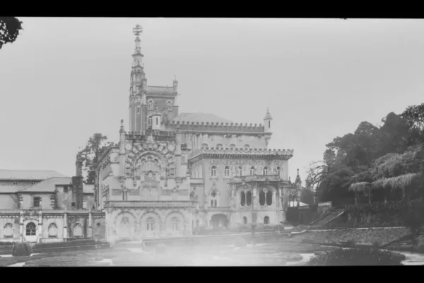 D6X_3164_A-POSITIVO2 D6X_3164_A-POSITIVO2