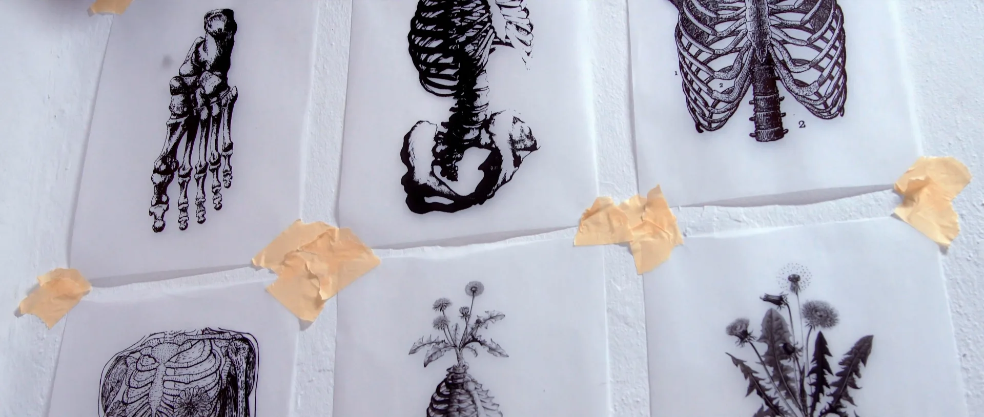 MadFildz – PRALAC Interview