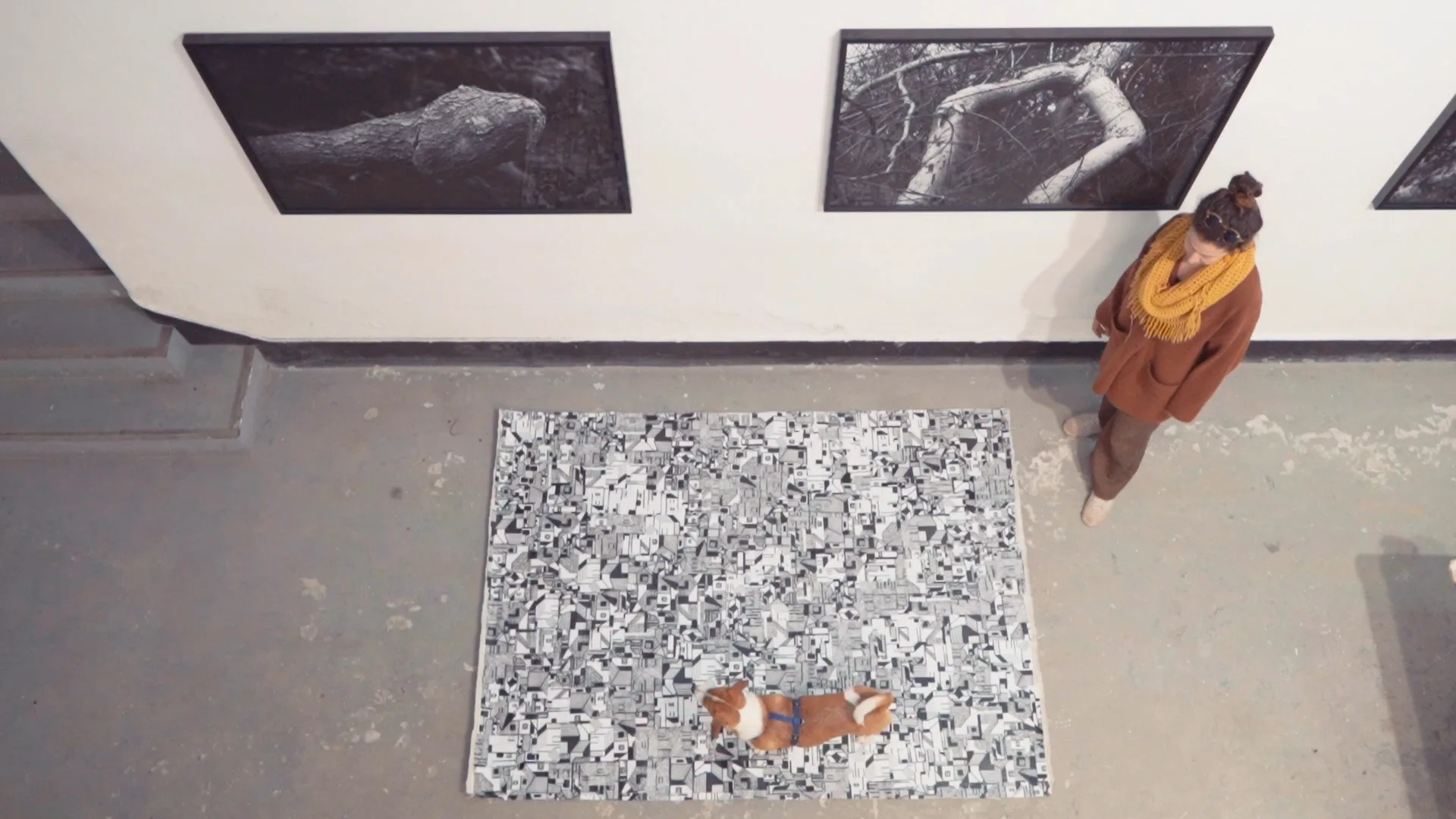 Ester Andrés – PRALAC Interview