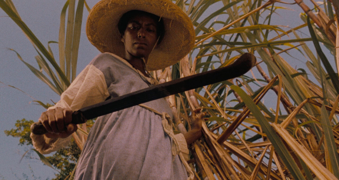 ROOTS 2024: Ciclo de Cinema “Sankofa”
