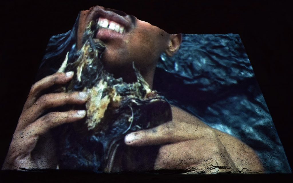 Memórias de uma língua de cão