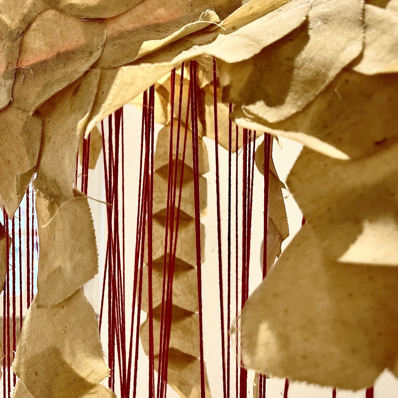 Formação: ACD para Docentes “Didática na(s) Pele(s)”