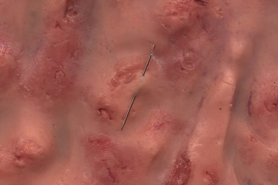 Instalação Homúnculo de Dora Vieira